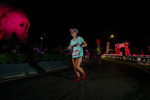 BIB: 
                            <button type="button" onclick="openModal(26552546)" class="btn btn-primary btn-sm float-right btn-popup" data-toggle="modal" data-target=".modal-high-quality">
                        <i class="fas fa-shopping-cart"></i> Add to Cart
                    </button>
                                            <button type="button" onclick="isThisMe(26552546, true)" class="btn btn-success btn-sm float-right btn-popup btn-isme hidden" data-toggle="tooltip" data-placement="bottom" title="นี่คือรูปของคุณใช่ไหม คลิกที่นี่เพื่อเอาเข้าอัลบั้ม">
                        <i class="fas fa-plus"></i> Add to album
                    </button>
                    <button type="button" onclick="isThisMe(26552546, false)" class="btn btn-warning btn-sm float-right btn-popup btn-isnotme hidden">
                        <i class="fas fa-ban"></i> Remove from album
                    </button>